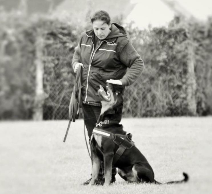 Customer spotlight...Bonus K9 Training